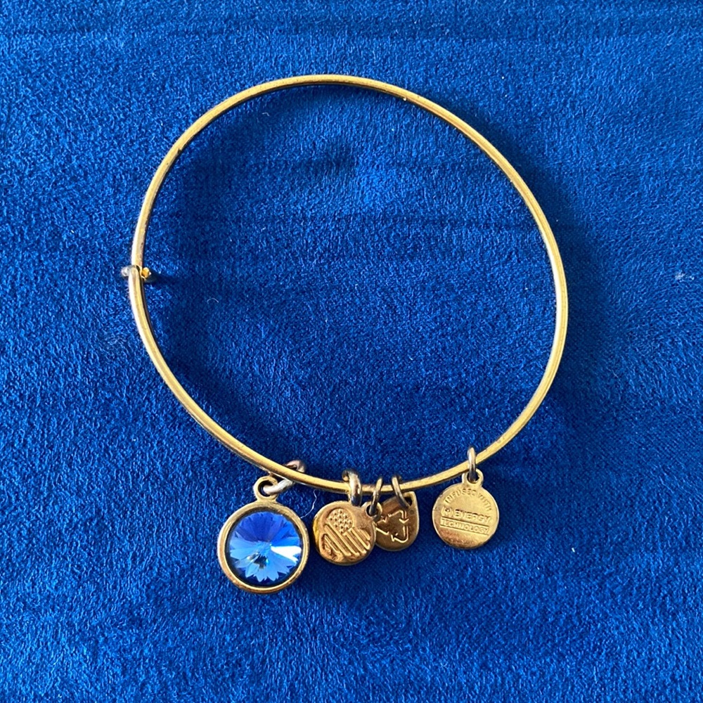 Alex and Ani Charm Bangle